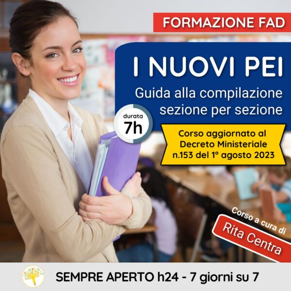 I NUOVI PEI: Guida alla compilazione sezione per sezione -